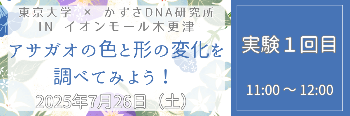 2025＿アサガオ色実験＿１