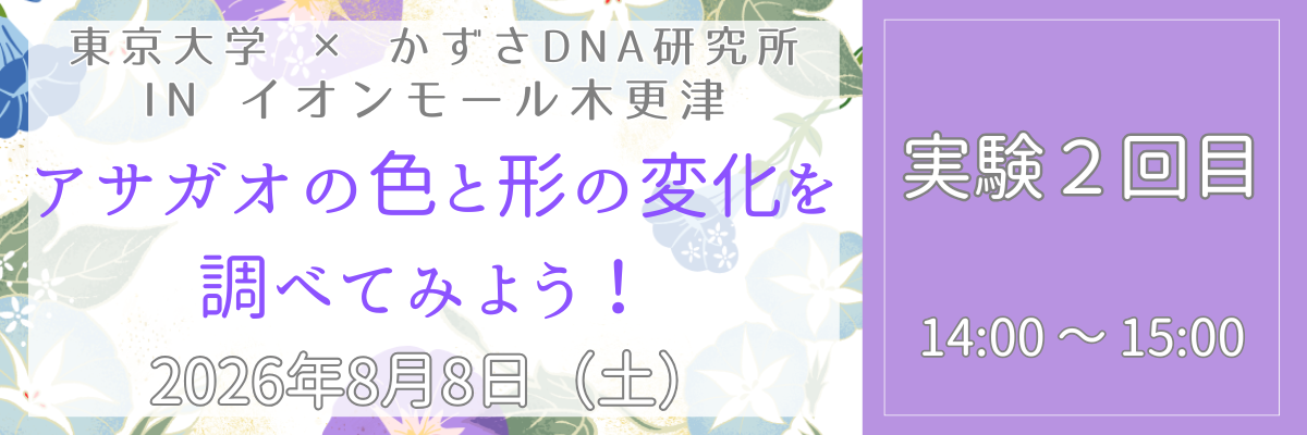 アサガオ＿実験２