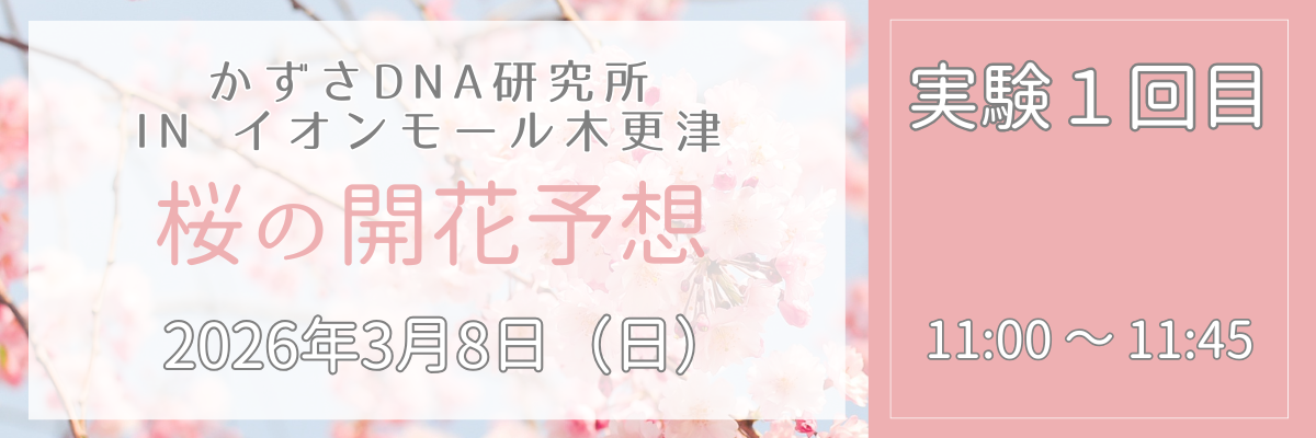桜開花予想＿実験１