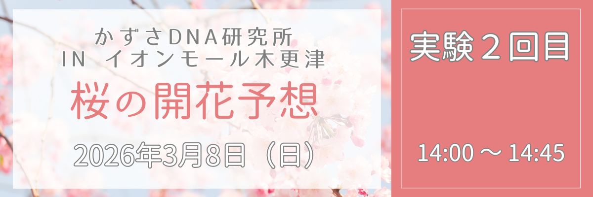 桜開花予想＿実験２